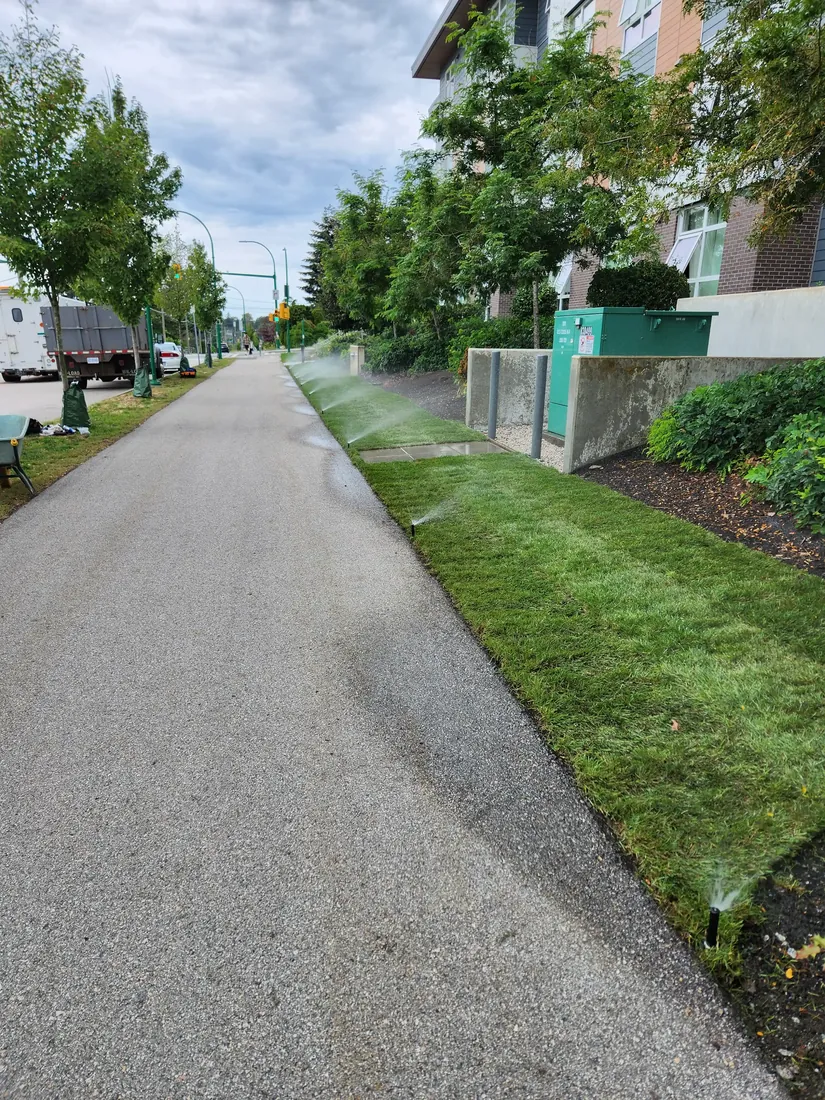 Irrigated landscape in healthy condition. fresh laid sod.