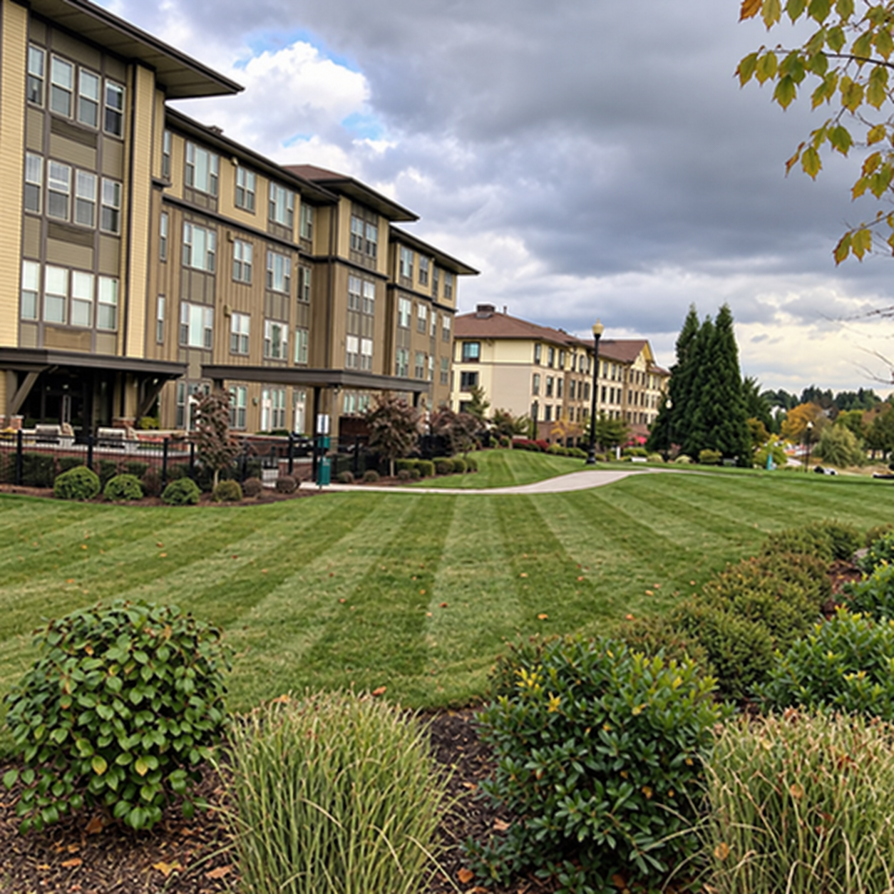 Renewed planting beds at a commercial property
