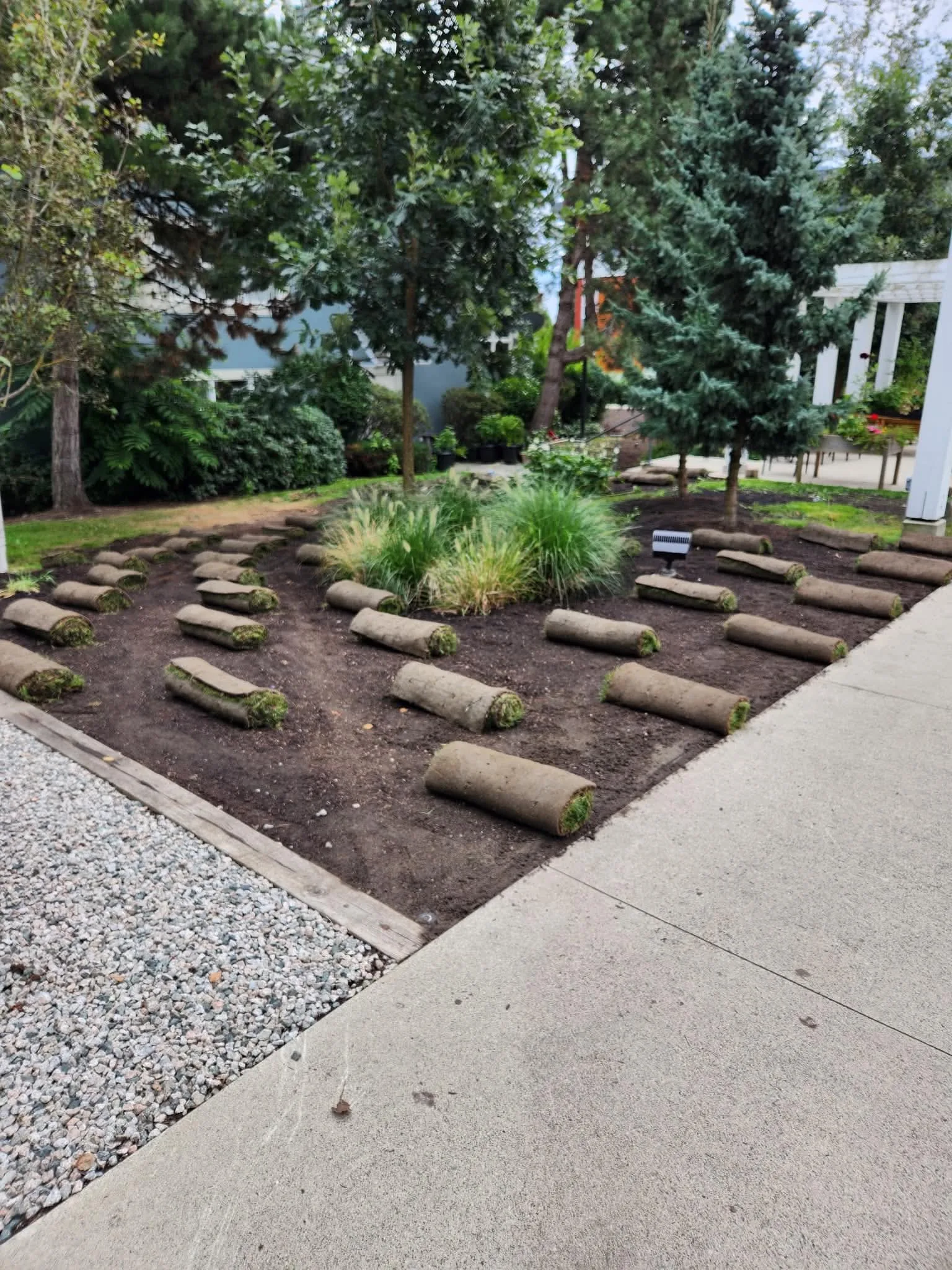 New softscape sod planting installation