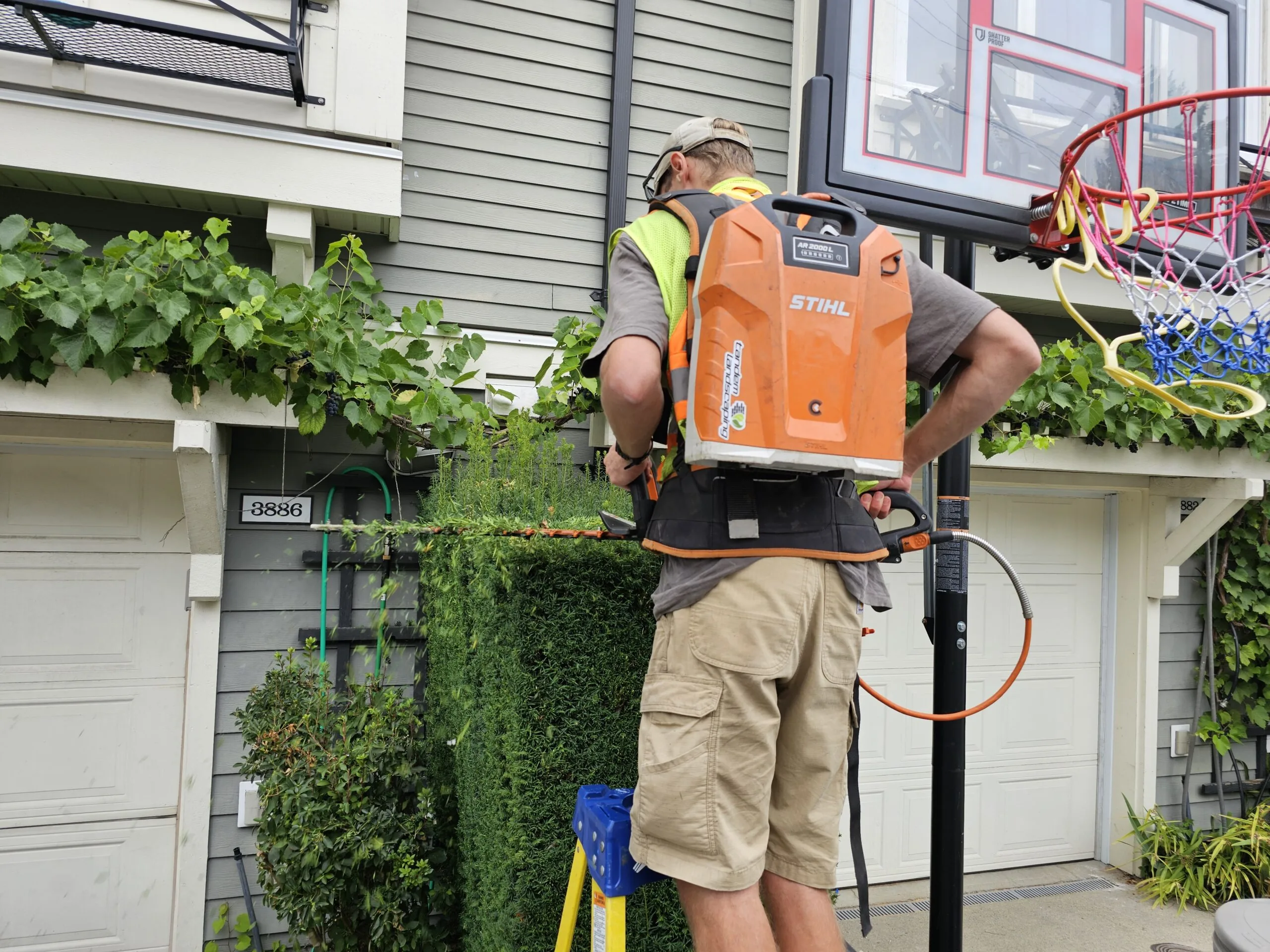 Weekly hedge and grounds maintenance