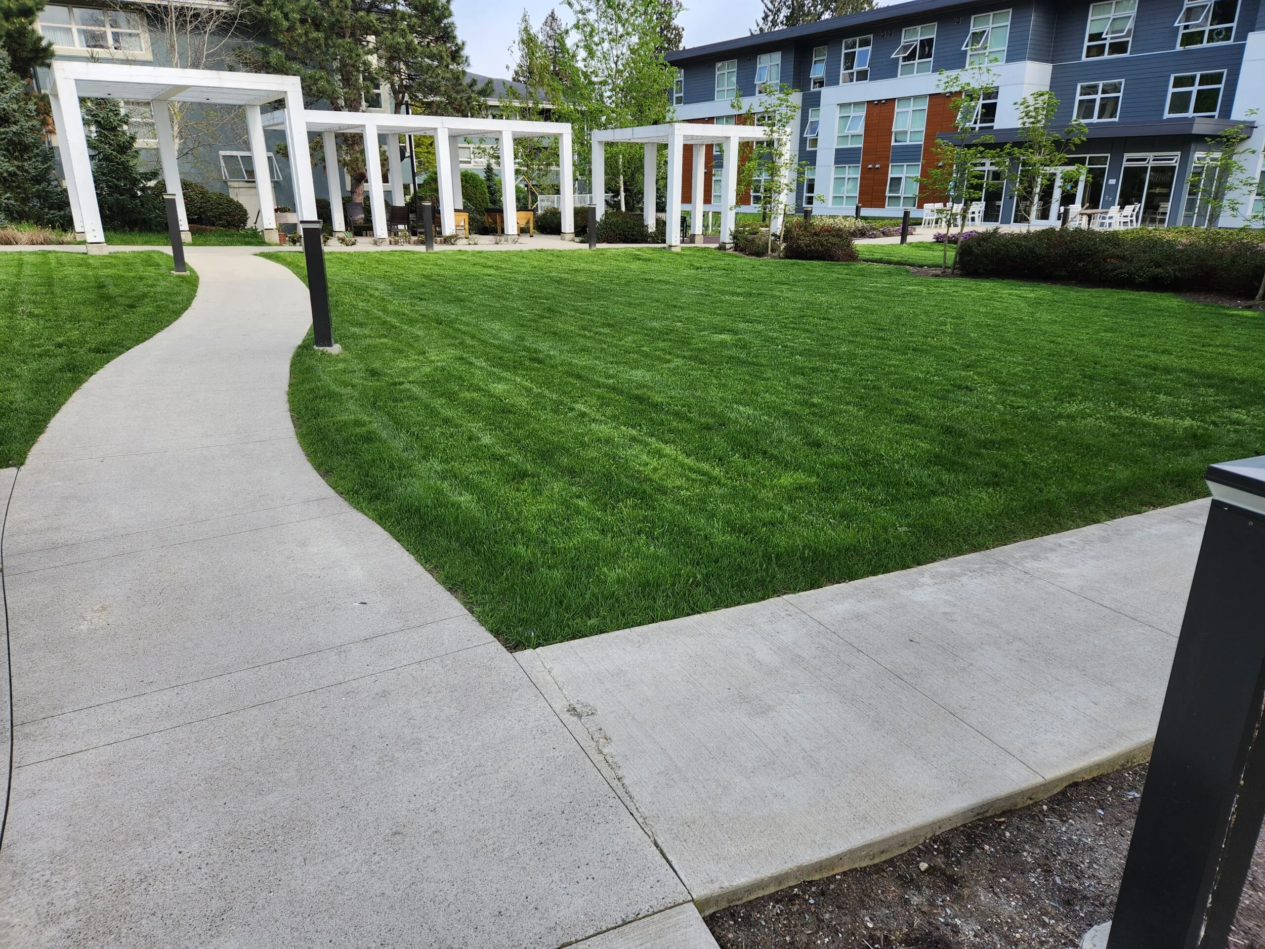 healthy lawn and large strata property maintenance