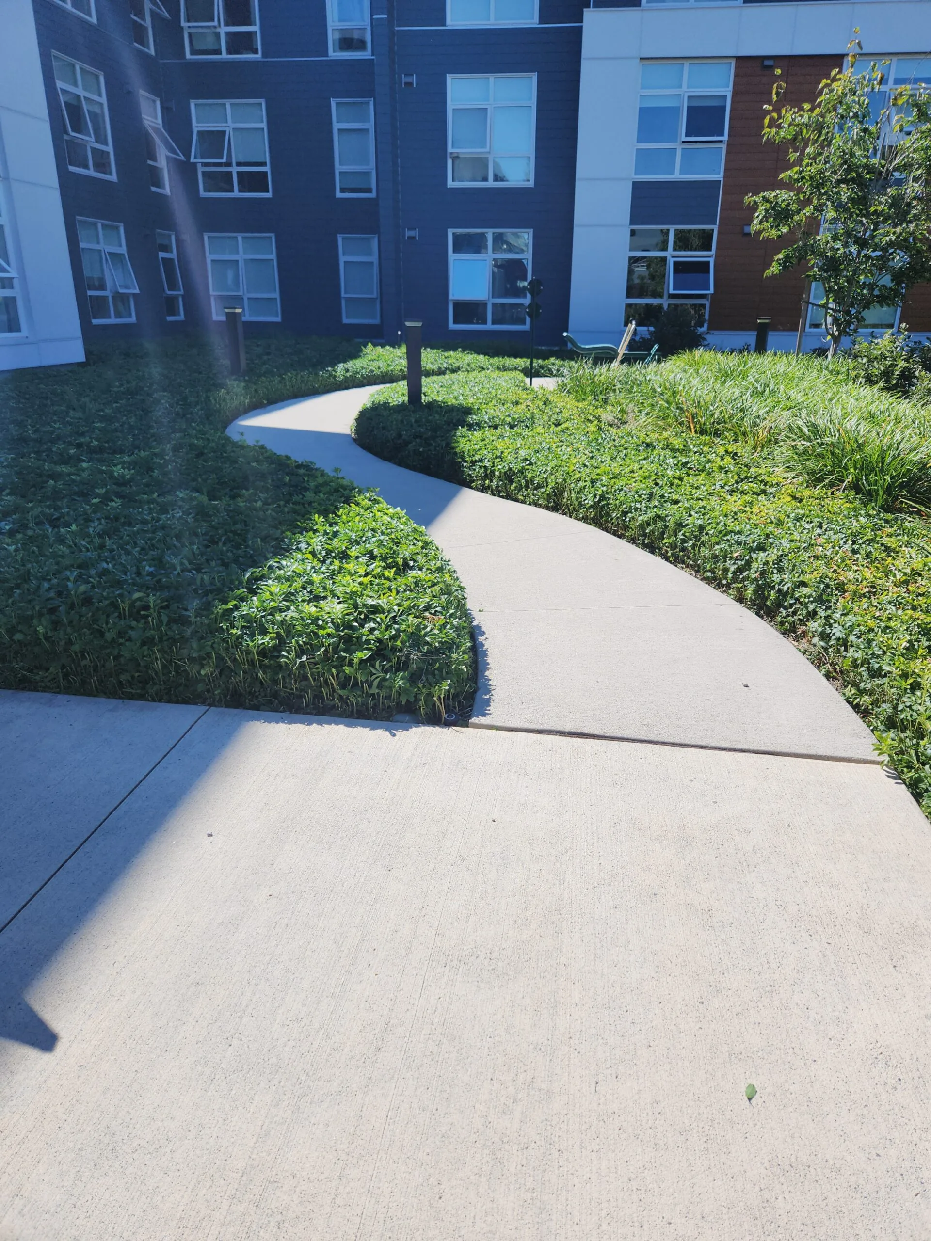 Maintained grounds at a strata property