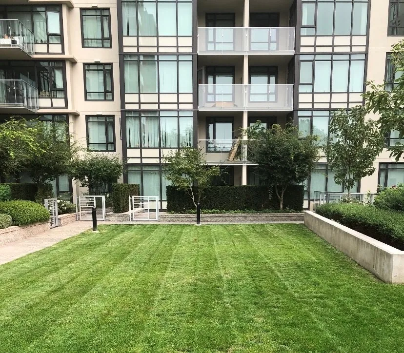 landscaping in richmond. detailed landscaping healthy plants