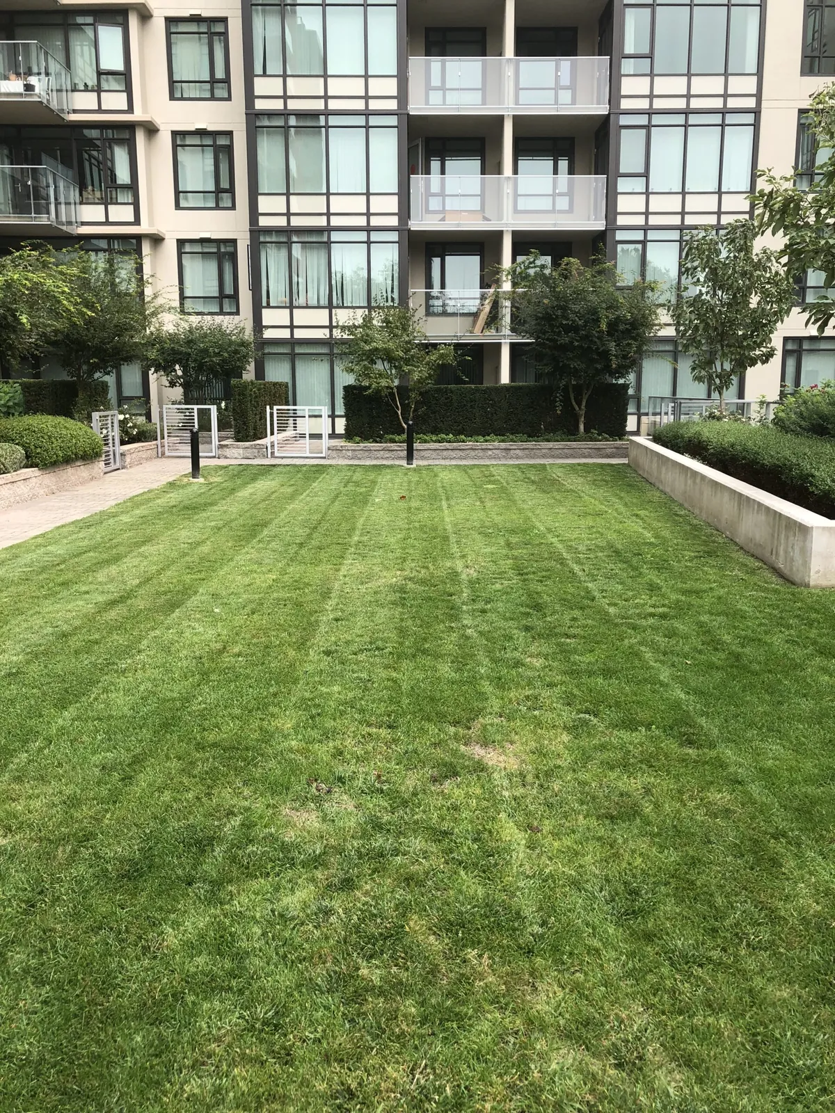 Striped courtyard lawn at a strata residence in Richmond
