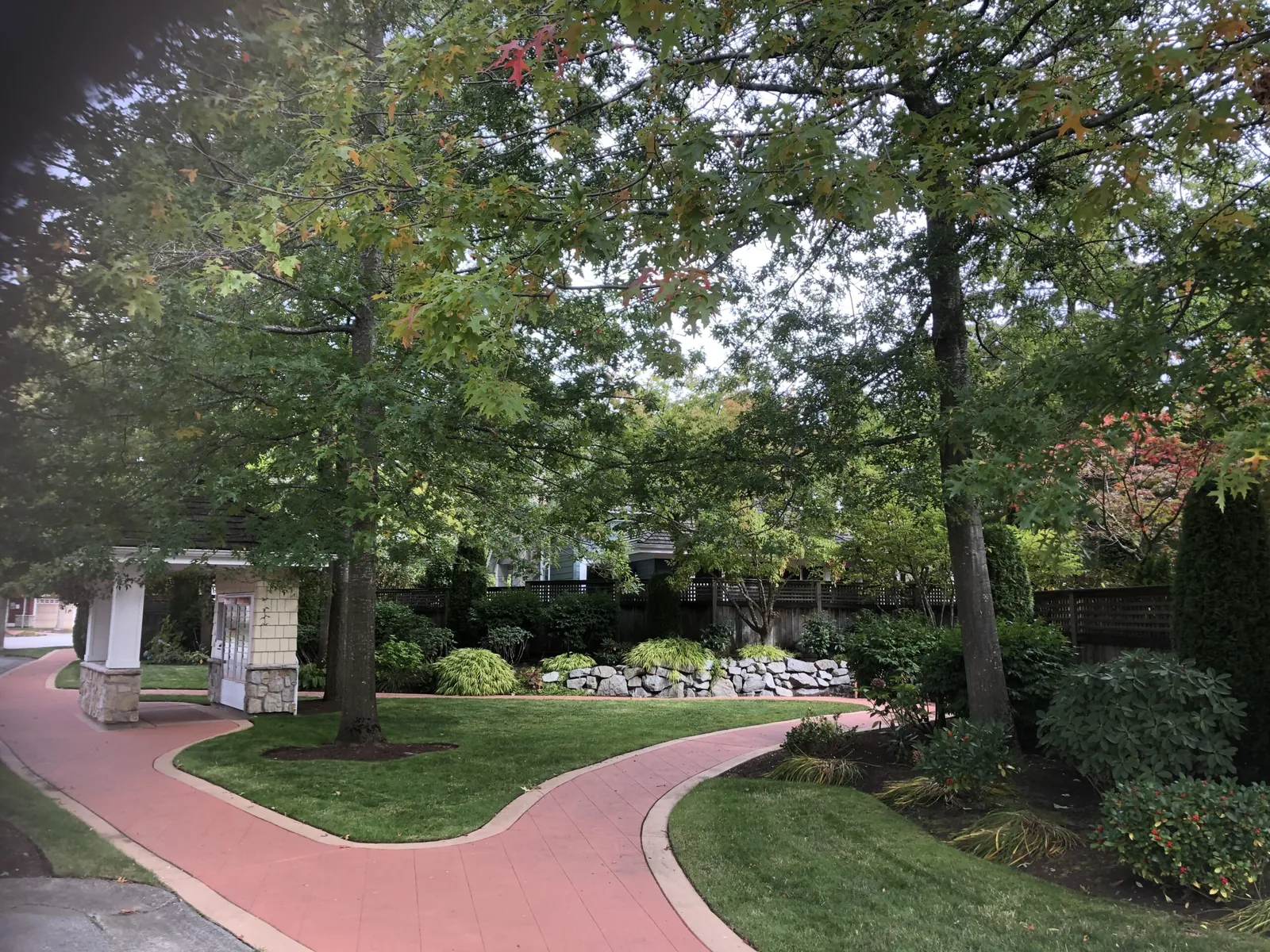 Strata courtyard garden with lawn and shrub beds