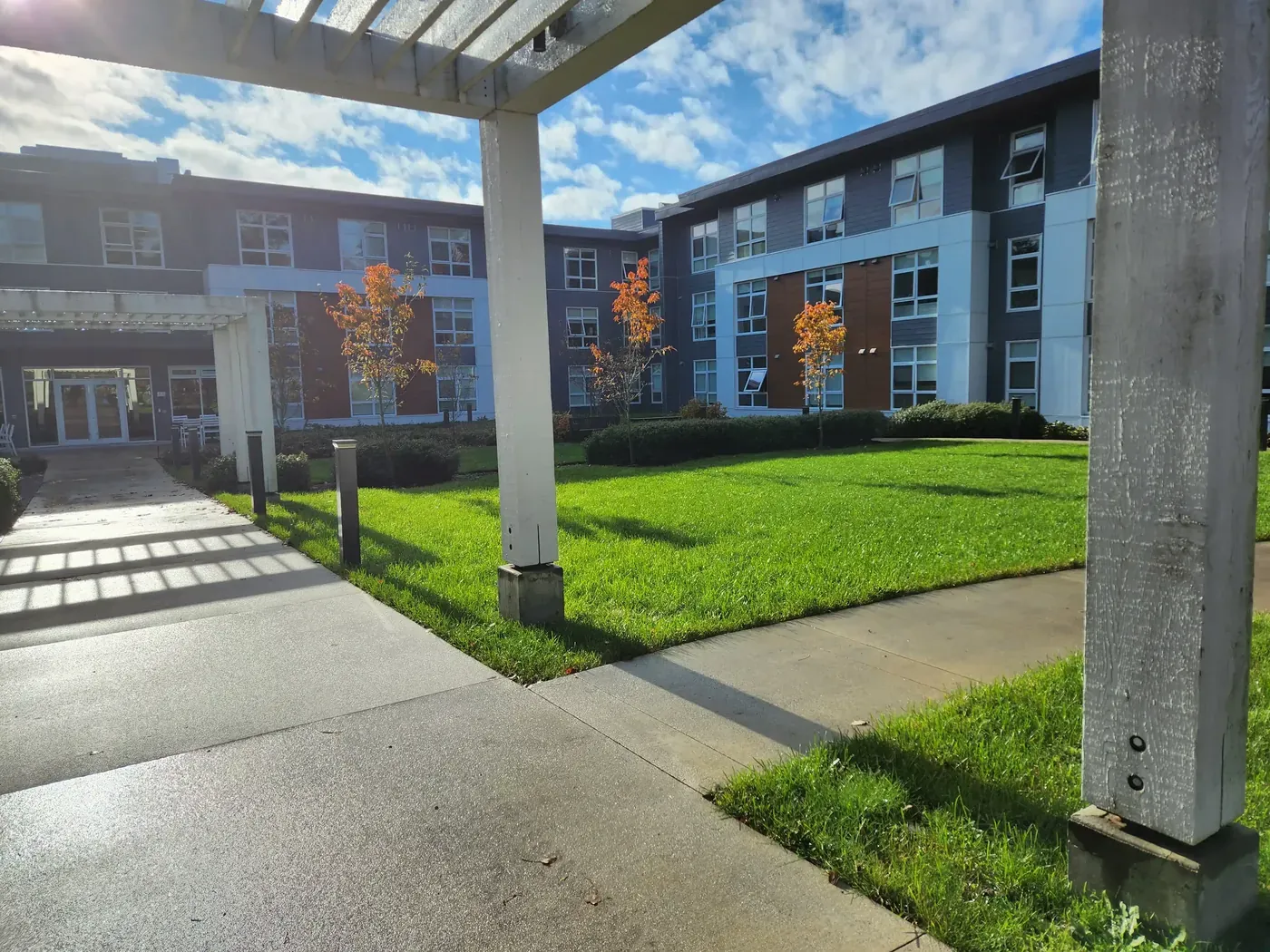 Freshly mown courtyard lawn and pergola walkway at a strata building