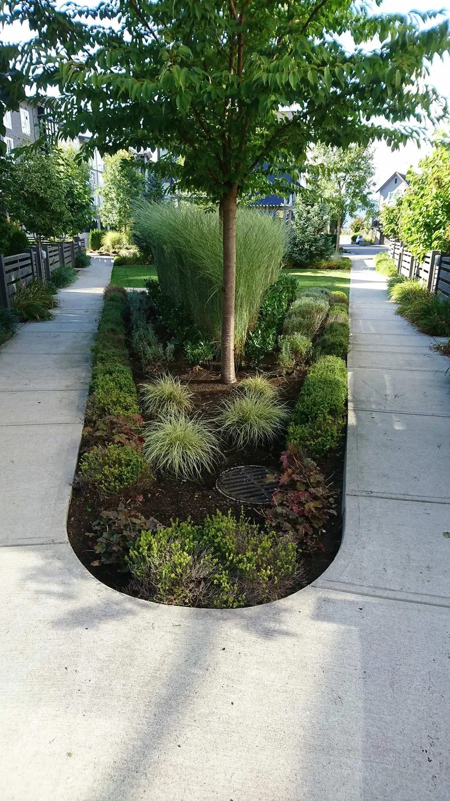 Planted median between two strata walkways